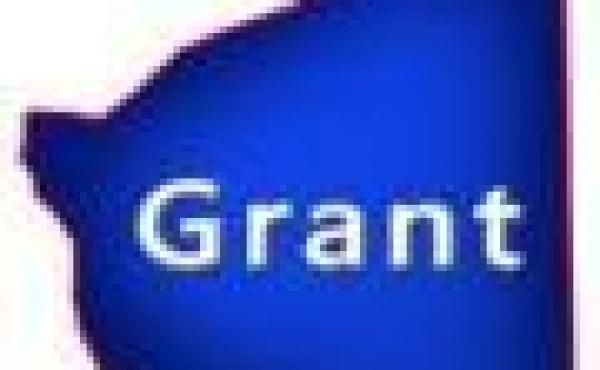 Grant County Wisconsin Land Contract for Sale WI Real Estate Homes